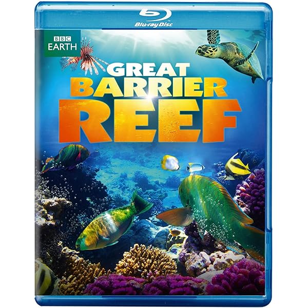 Amazon.com: Fascination Coral Reef: Mysterious Worlds Underwater